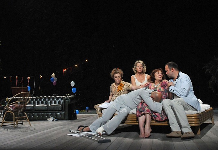 tnba_chatte-sur-un-toit_w