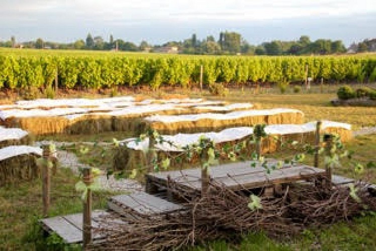 Salle_à_louer_ch_Trillon_Sauternes_3