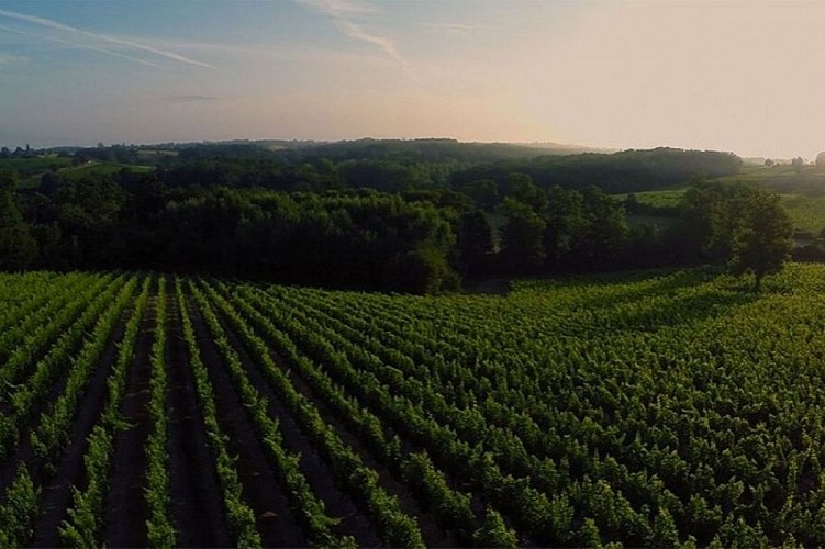 Ste-Marie-vue-aerienne-2