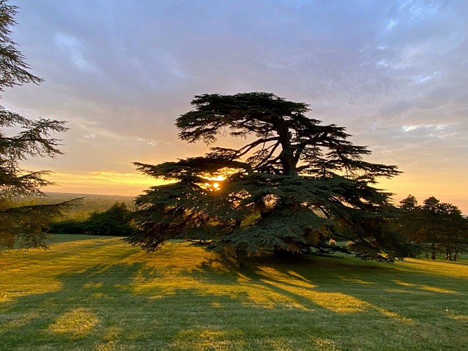 MAJ 2023 Sirtaqui - Chambre double (8)