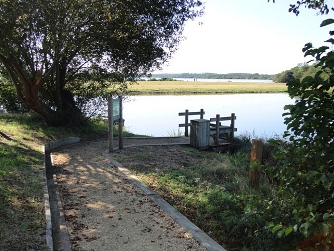 Ponton de pêche de l'étang d'Aureilhan - St Paul en Born