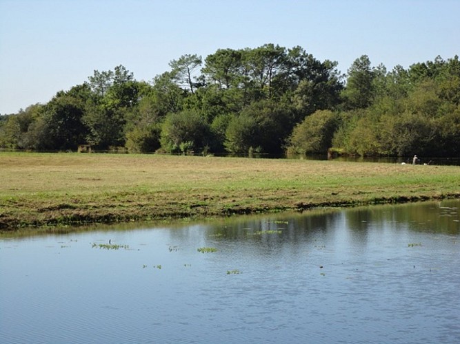 Ponton de pêche de l'étang d'Aureilhan - St Paul en Born