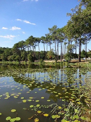 Ponton de pêche de l'étang d'Aureilhan à Mimizan