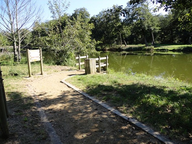 Ponton de pêche du courant de Mimizan