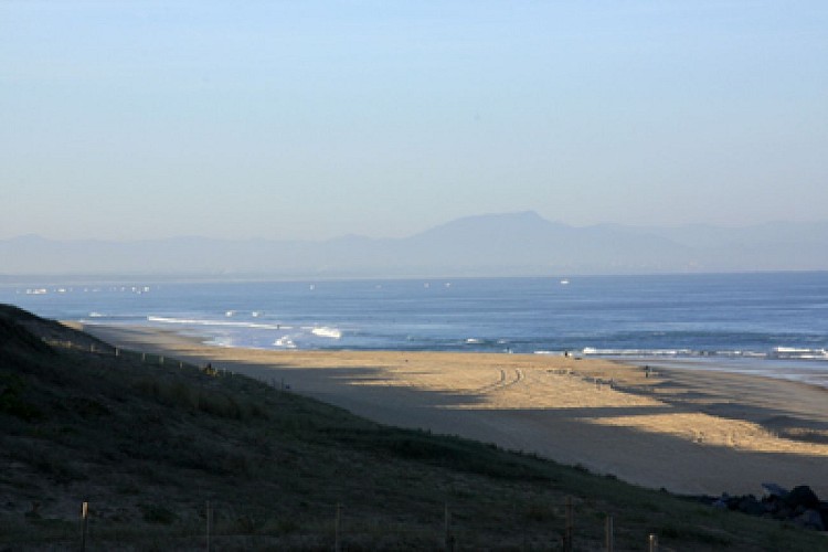 seignosseBourdaines1