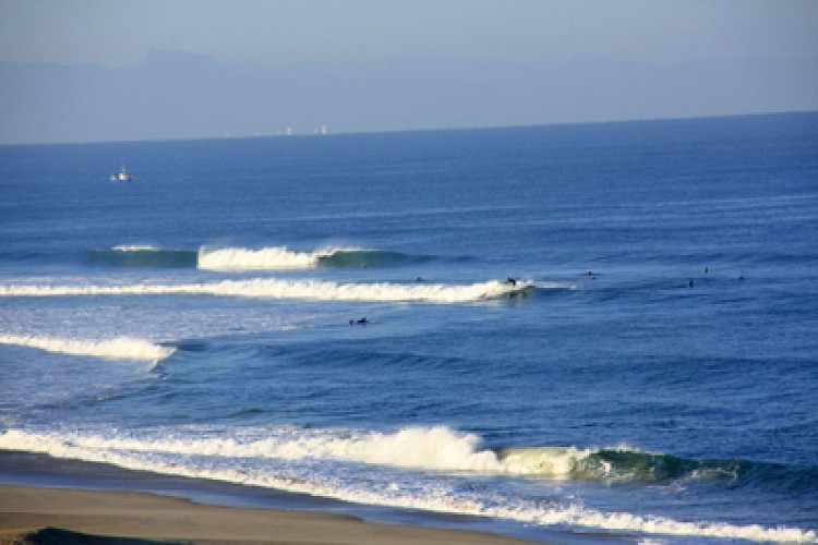 seignosseBourdaines2