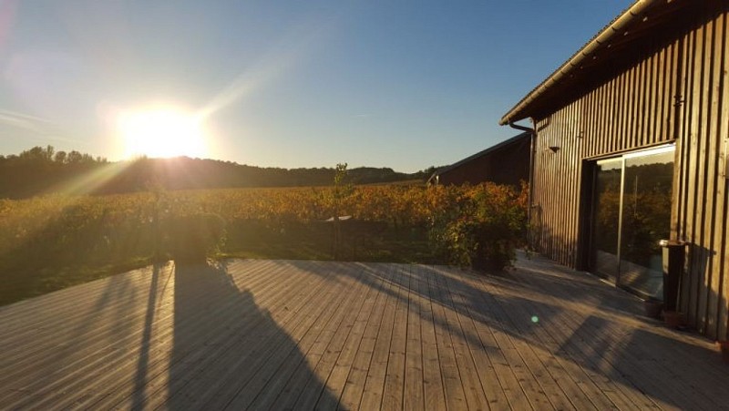 20151031_171623-768x432