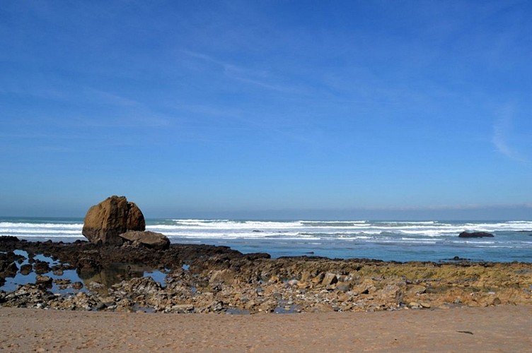 Ilbarritz-Plage-Bidart-Cote-basque--3-