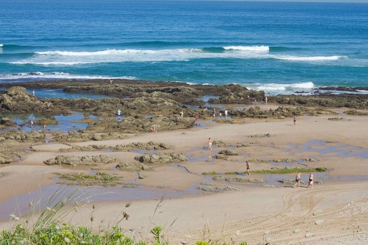 Plage-Pavillon-royal-bidart-surf-cote-basque--5-