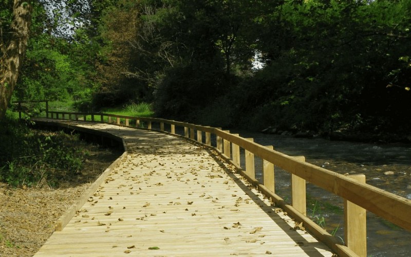 parcours-bois-baniou-2-ok