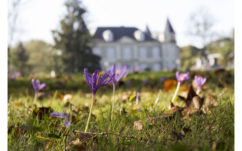 Château de Franqueville - Bizanos - Façade et prairie