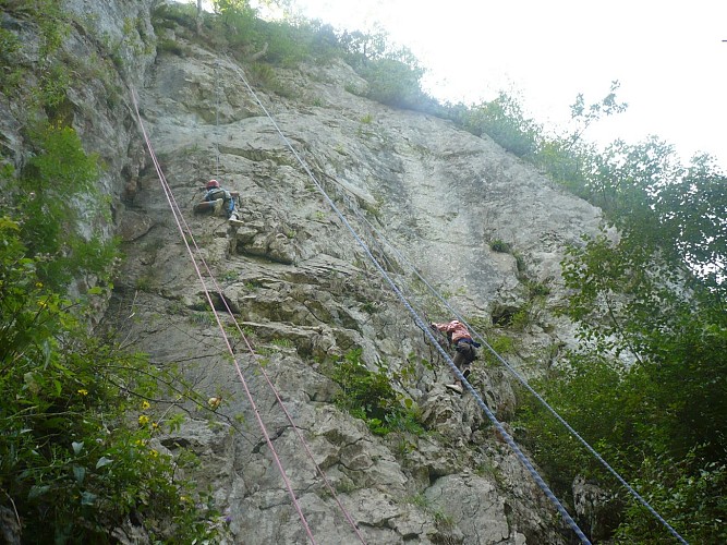 M-P-ESCARAINP1010082