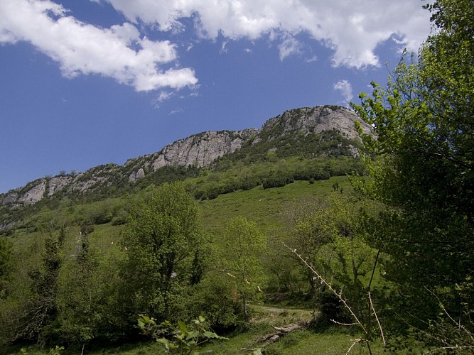 MCC-FALAISE-D-ARGUIBELLE20070513--3-