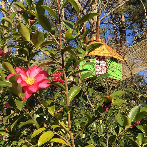 wowpark_fleur_urrugne