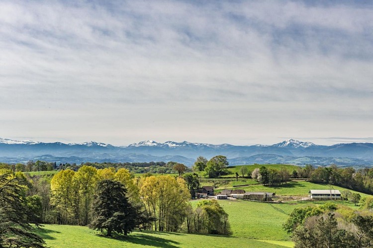 Château d'Orion 1440x900