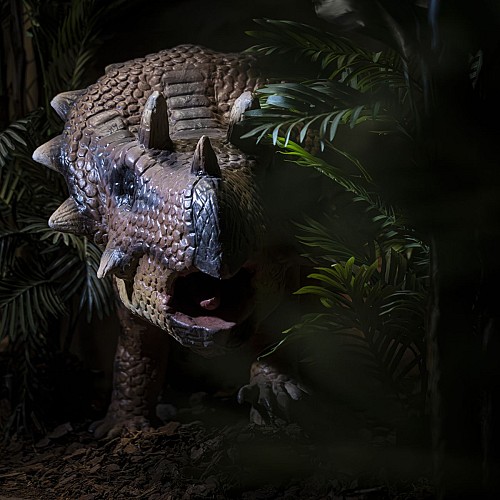 916A4947-Avec accentuation-Bruit