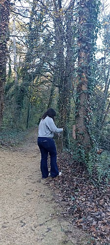 Orientation Soulièvres (1)