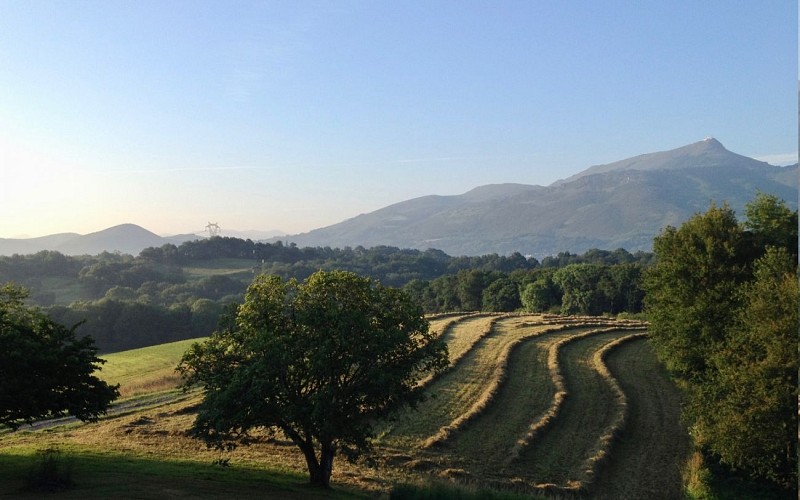 HLOAQU064V501XF3-leremboure-vue 144x900