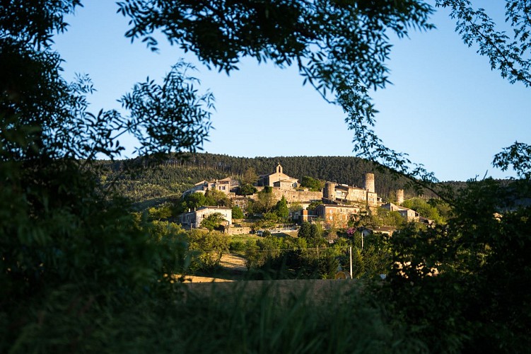 Saint-Vincent-de-Barrès : Village de caractère