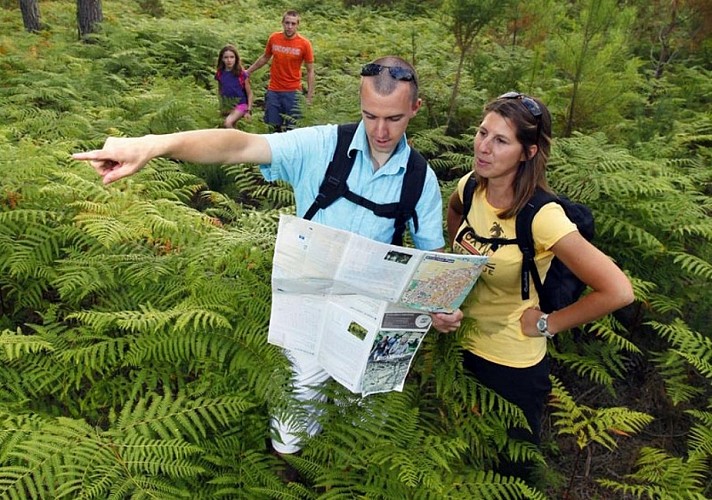 Randonnées, balades, running