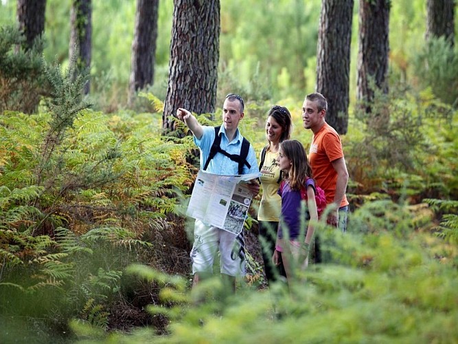 Randonnées, balades, running
