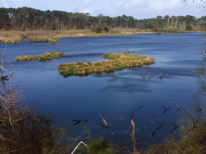 Randonnées, balades, running