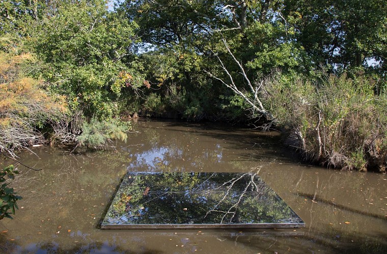 1Miroir-d-horizon-octobre-2018