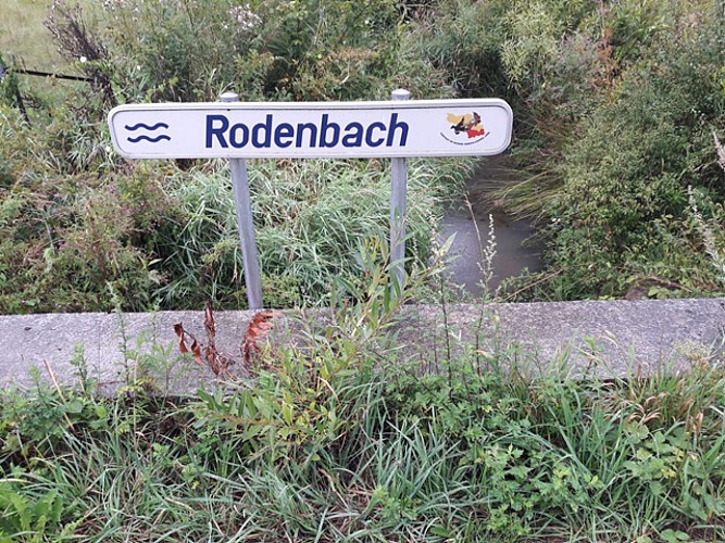 Ruisseau de Rodenbach